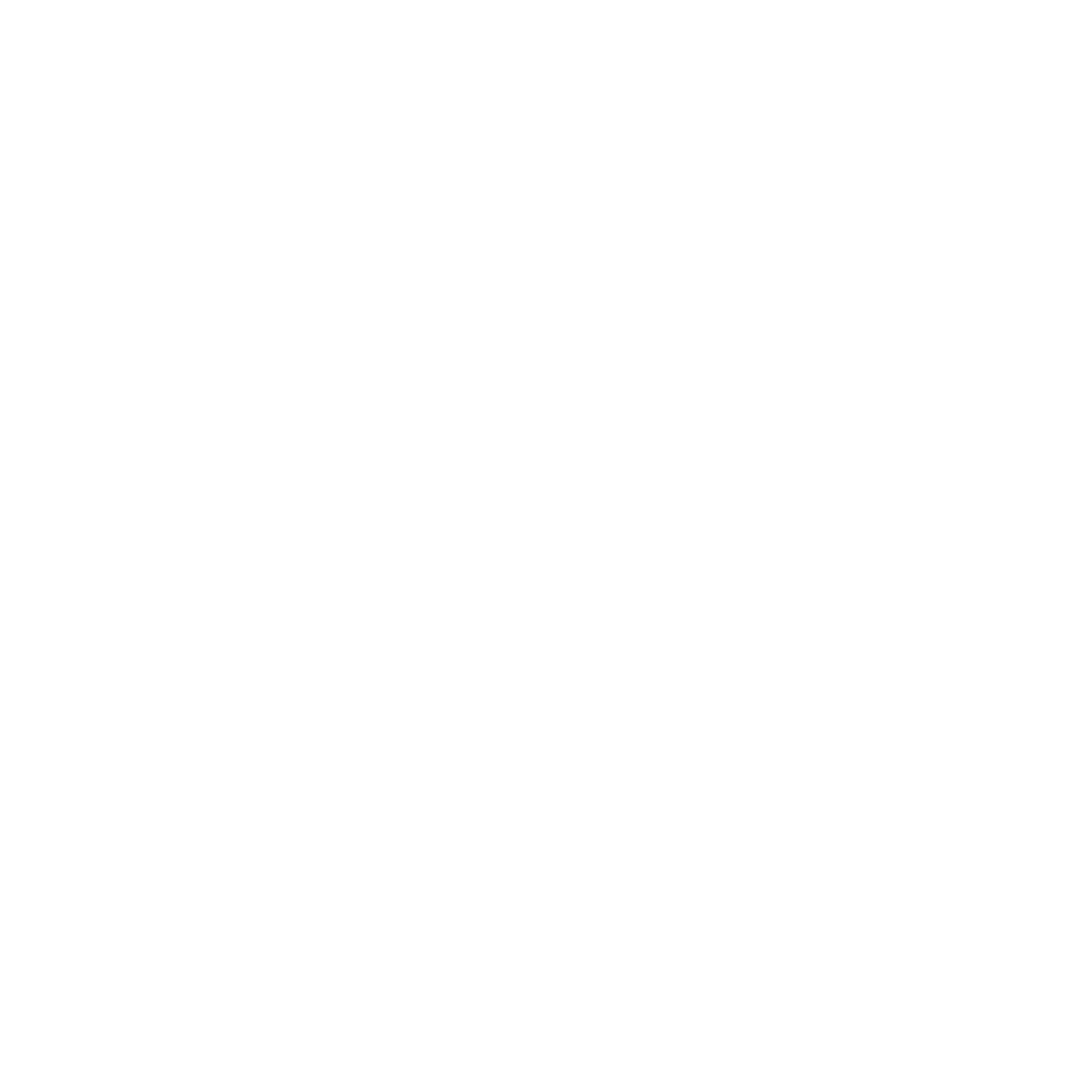Shayan - REFLECTION Logo Transparent